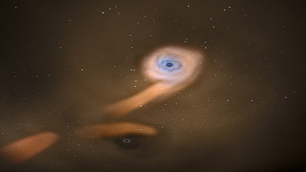 черные дыры разорвали звезду